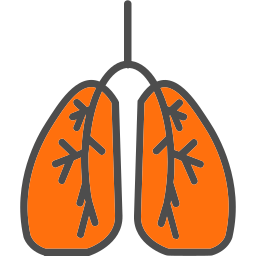 Lungs icon