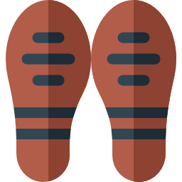 Foot icon