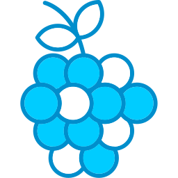 Grapes icon