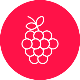 Grapes icon