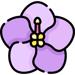 African violet icon