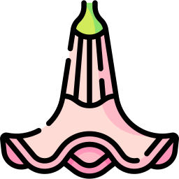 Angel trumpet icon