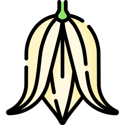 Yucca icon