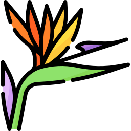 Bird of paradise icon