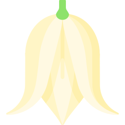 yucca Ícone