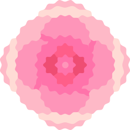 Carnation icon