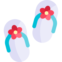 flip flops icon