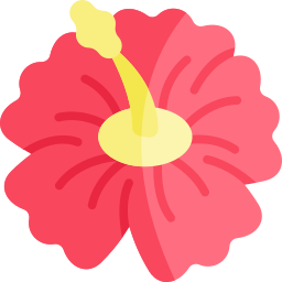 hibiskus icon