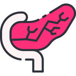 Pancreas icon