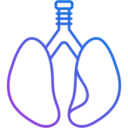 Lungs icon