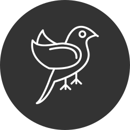 Bird icon