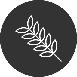 Leaf icon