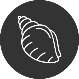 Conch icon