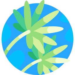 Leaf icon