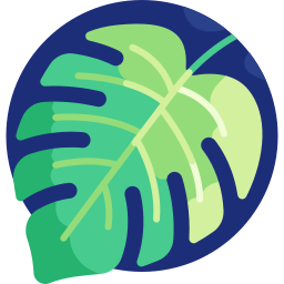 Monstera icon