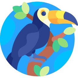 Toucan icon