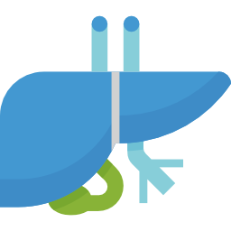 Liver icon