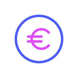 Euro icon