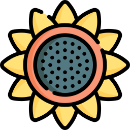 Sunflower icon