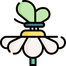 Butterfly icon