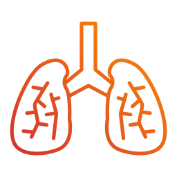 Lungs icon