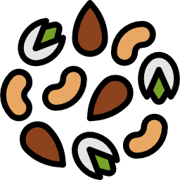 Nuts icon