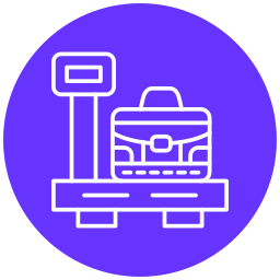 Luggage scale icon