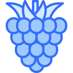 framboise Icône