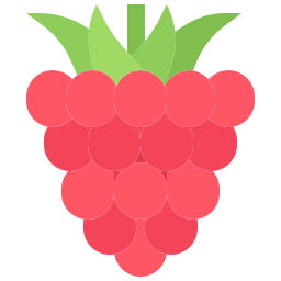 framboise Icône