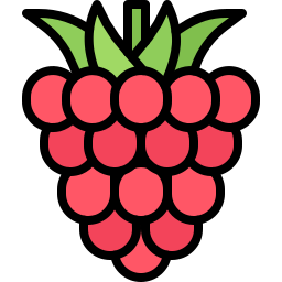 framboise Icône