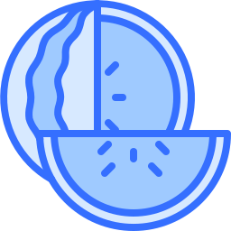 wassermelone icon