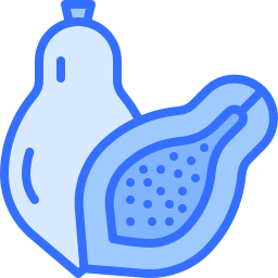 papaya icon