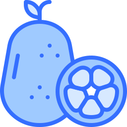 kumquat icon