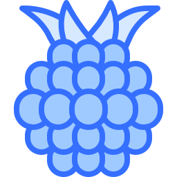 brombeere icon