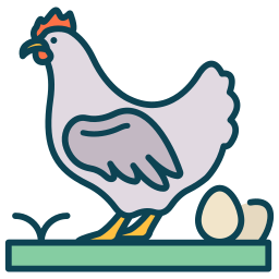 Poultry icon