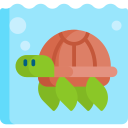 Turtle icon