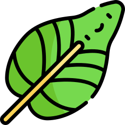 Tropical leaves icon