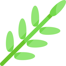 Tropical leaves icon