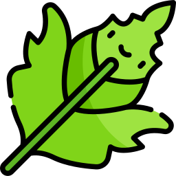 Tropical leaves icon