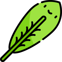 Tropical leaves icon