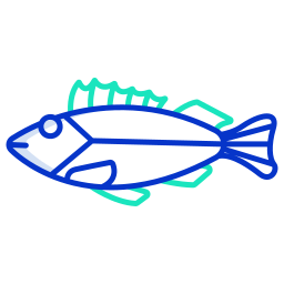 Rock fish icon