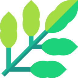 Tropical leaves icon