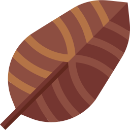 Tropical leaves icon