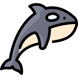 orca icona