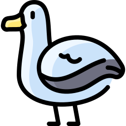 Albatross icon