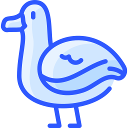 Albatross icon