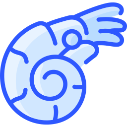 Nautilus icon