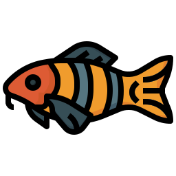 Clown loach icon