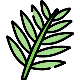 Leaves icon