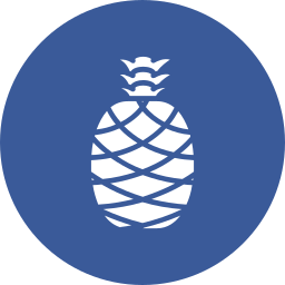 ananas icon